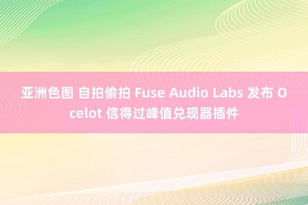 亚洲色图 自拍偷拍 Fuse Audio Labs 发布 Ocelot 信得过峰值兑现器插件